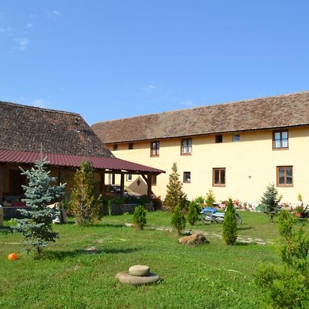 Apartamento Casa Maria Cincu Exterior foto