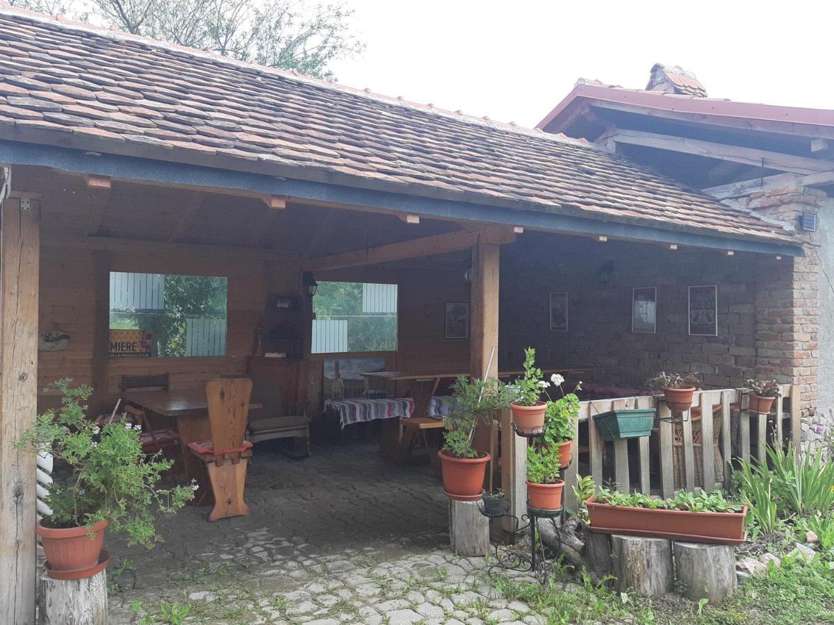 Apartamento Casa Maria Cincu Exterior foto