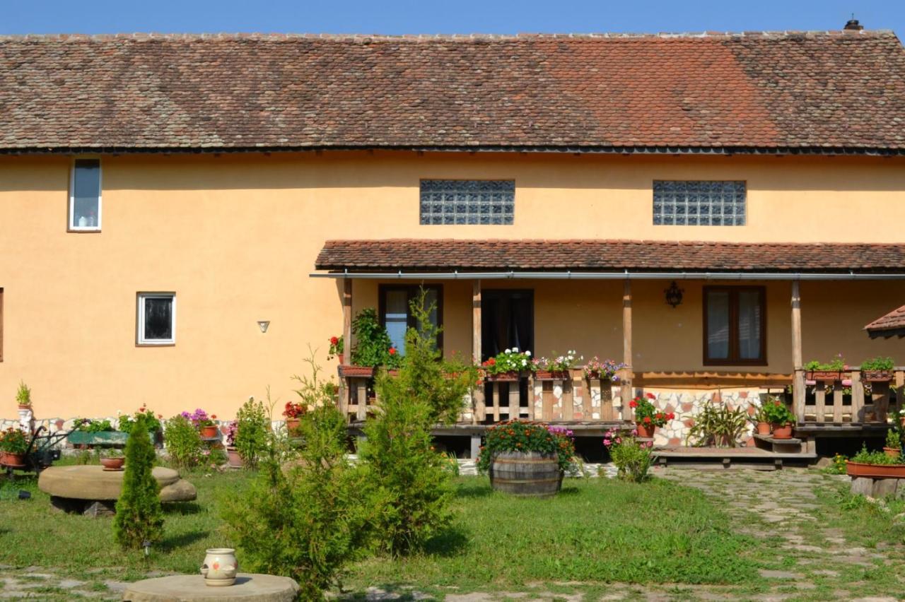 Apartamento Casa Maria Cincu Exterior foto