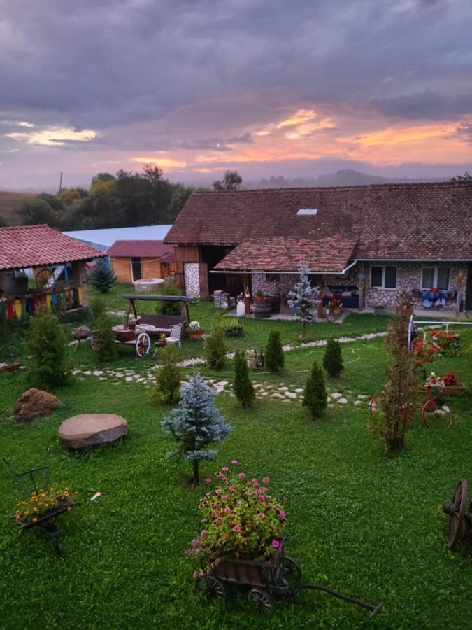 Apartamento Casa Maria Cincu Exterior foto